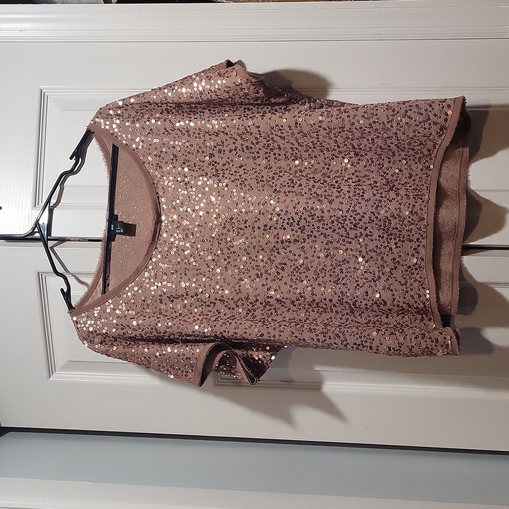 Sequins Champagne colored Top